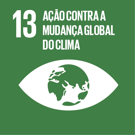 ODS 13 - Ação Contra a Mudança Global