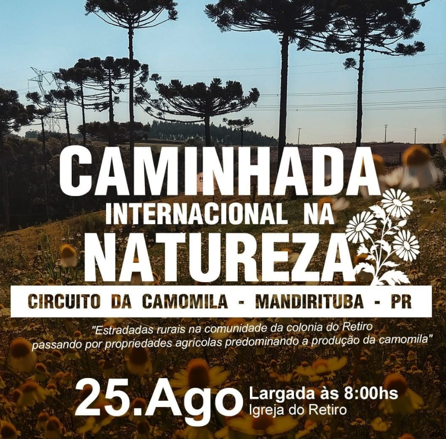 Circuito da Camomila - Mandirituba 2019