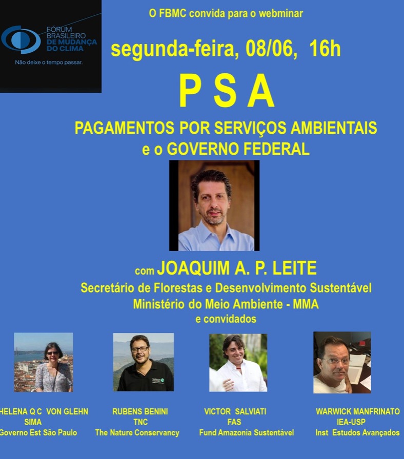 Webinar FBMC PSA Junho 2020