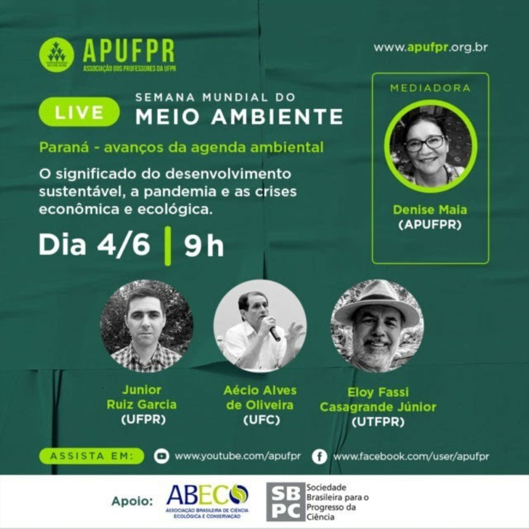 AP UFPR Junho de 2020