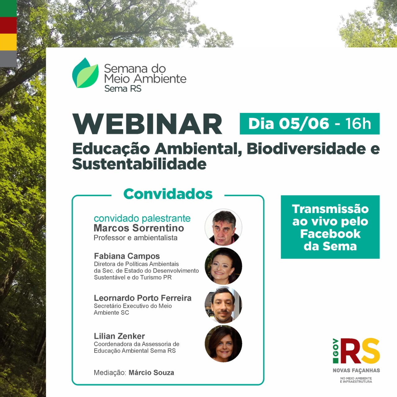 Webnar SEMA RS Junho 2020