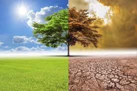 Efeitos da mudança climática