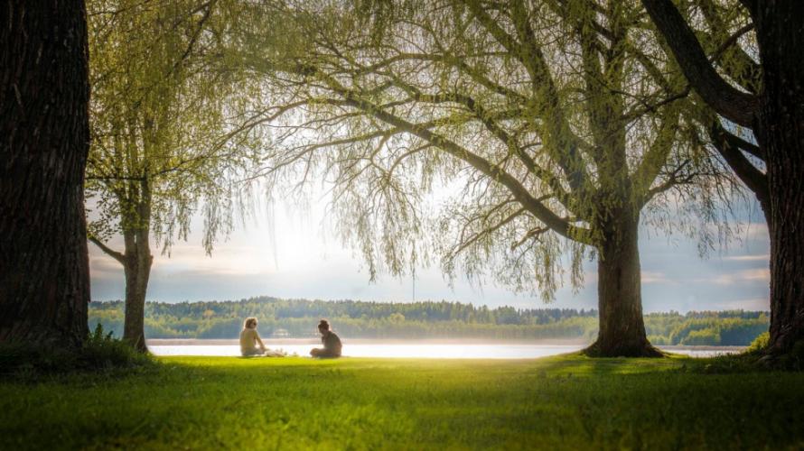 Parque na Finlândia. Foto: Ahmed Alalousi.